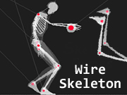 Wire Skeleton