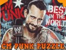 CM Punk Puzzle