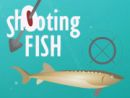 Shooting Fish