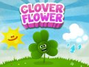 Clover Flower