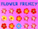 Flower Frenzy