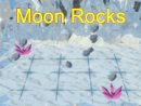 Moon Rocks