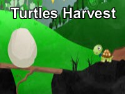 Turtles Harvest