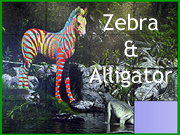 Zebra And Alligator