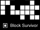Block Survivor
