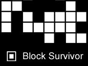 Block Survivor