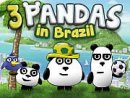 3 Pandas in Brazil