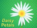 Daisy Petals