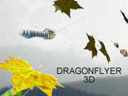 Dragonflyer 3D