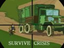 Survive Crisis