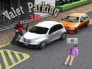 Valet Parking 3D