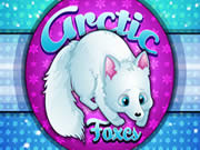 Arctic Foxes