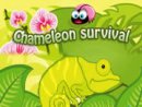 Chameleon Survival