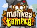 Monkey Temple