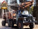 Timber Lorry Driver