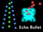 Echo Bullet