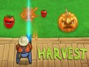 HARVEST