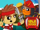 Ninja Defense