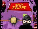 Ninja Escape