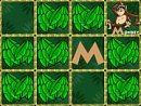 Alpha-Zoo