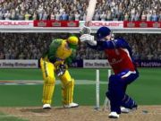 Cricket 2005