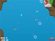 Dolphin Dive