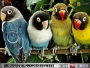 Hidden Alphabets-Parrots