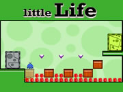 Little Life