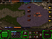 Starcraft 2008