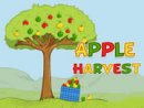 Apple Harvest