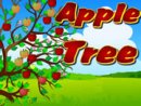 Apple Tree