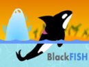 BlackFISH