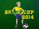 Brazil Cup 2014