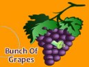 Bunch Of Grapes