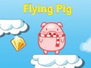 Flying Pig