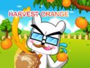 Harvert Orange