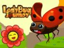 Ladybug Journey