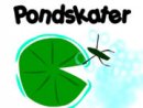 Pondskater