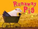 Runaway Pig