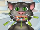 Talking Tom Tooth Problems