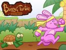 The Bunny And The Turtle