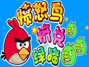 Angry Bird vs Green Pig