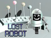 Lost Robot