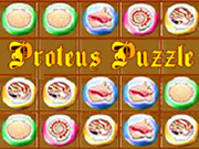 Proteus Puzzle