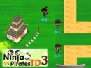 Ninjas vs Pirates 3