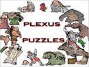 Shiver Me Pieces - Plexus Puzzles