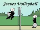Jeeve's Volleyball