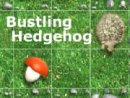 Bustling Hedgehog