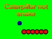Caterpillar not snake