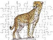 Cheetah Jigsaw